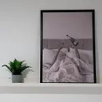 The Silver Flat *