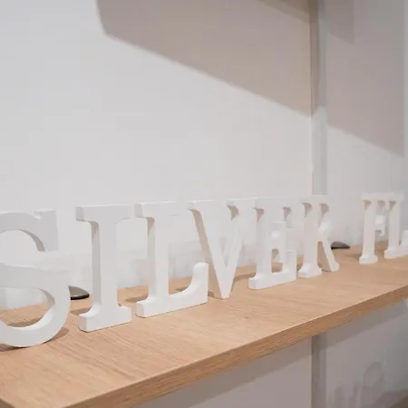 公寓 The Silver Flat 比戈