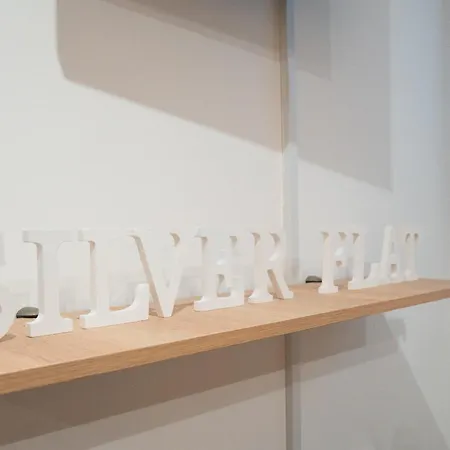 The Silver Flat Apartamento *